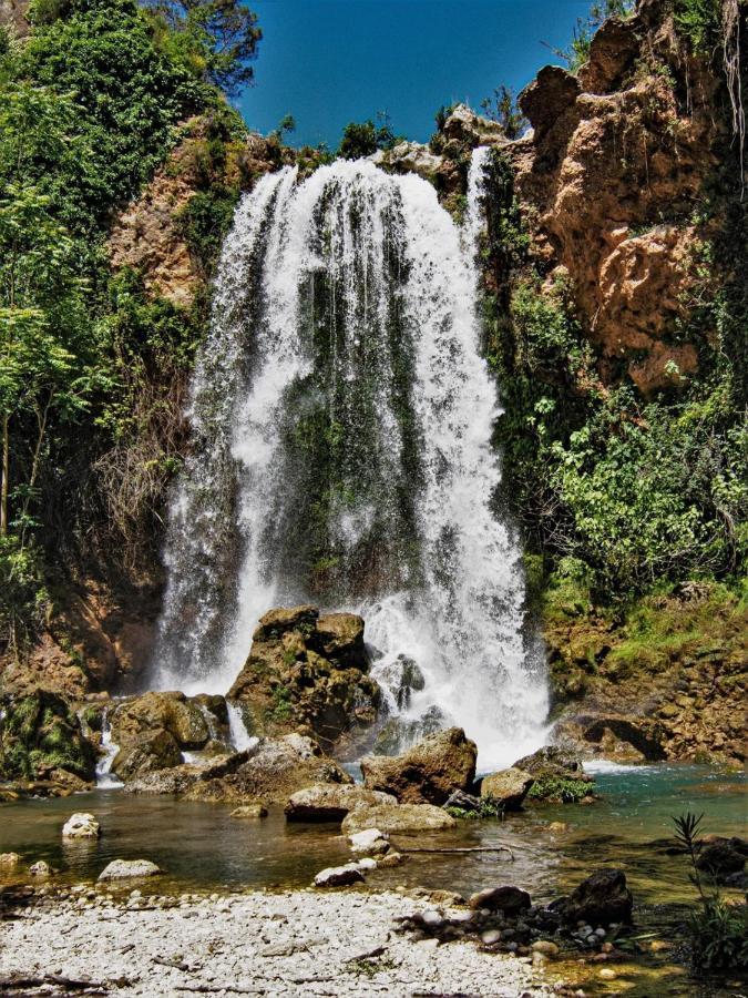 Casa Rural La Balsa Anna Dış mekan fotoğraf